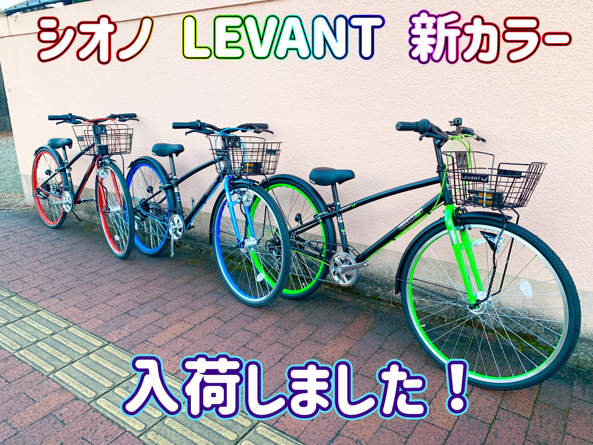 シオノ 新色入荷☘ ̖́-