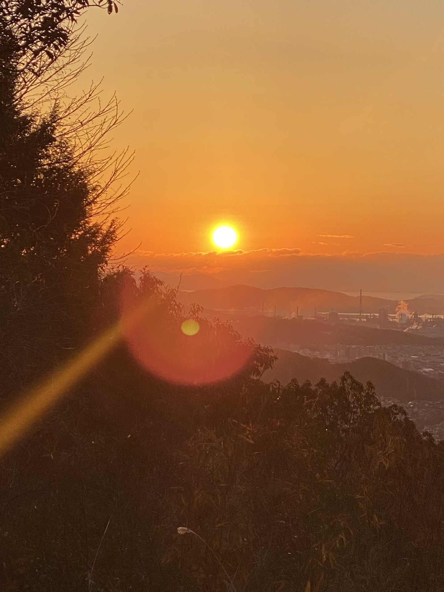 🌅新年あけましておめでとうございます🎍✨️